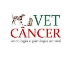 5da72f8b6993e-vet cancer
